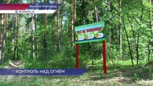 Лесничества Нижнего Новгорода патрулируют городские леса