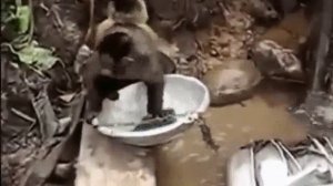 1000032335.mp4