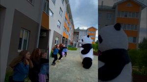В день рождения пришла поздравить Панда