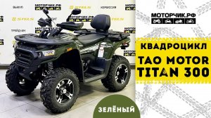 Квадроцикл Tao Motor Titan 300 EFI (Зеленый)