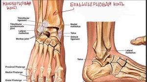 Покупай обувь правильно. Виды обуви по ГОСТу.