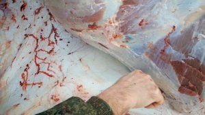 Нож Рысь сталь Элмакс разделка быка - okskie-nozhi.ru