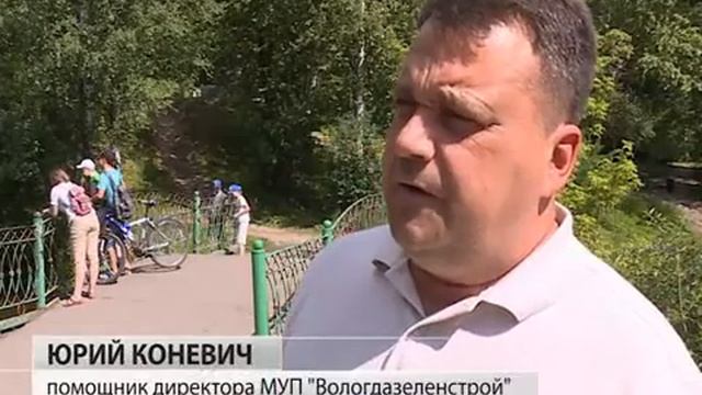 Больше тонны свадебных замков сняли с моста в Кремлевском парке Вологды смотреть онлайн