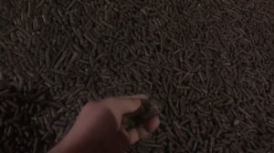 Жом свекловичный гранулированный