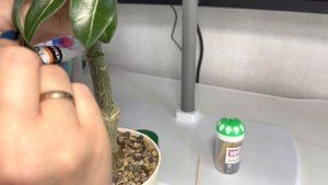 6.05.23 Делаю первую прививку Флат на клей