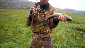 Рыбалка в Заполярье, арктический голец.