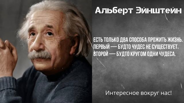 Только дурак нуждается в порядке — гений господствует над хаосом | Альберт Эйнштейн | Цитаты смотреть онлайн