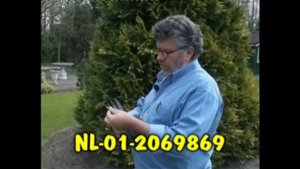 MACHIEL BUIJK - The Aarden's Keeper - 100% JanAardenPigeons