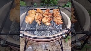 Золотистый шашлык в мангале на углях . Керамическая шашлычница 11 700 рублей.