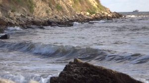 Моя Барзовка 2024