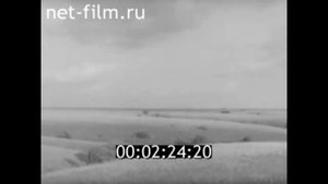 1987г. станица Скуришенская Кумылжинский район Волгоградская обл