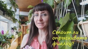 Стоит ли опрыскивать фиалку?