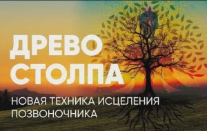 Древо Столпа - новая техника исцеления позвоночника. Как убрать боли в спине? Коррекция атланта