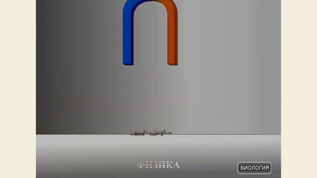 Открытие декады Естественно-математического цикла