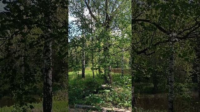 АХ, КАК ХОЧЕТСЯ ЖИТЬ!