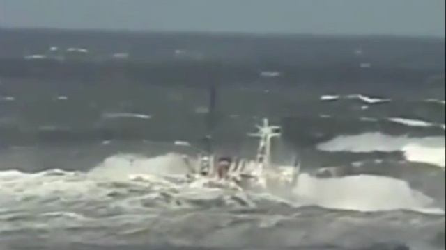 шторм_023916.mp4