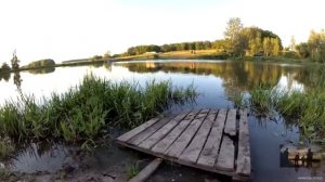 Кокино платник / Отчет о платной рыбалке (фидер, карп,осетр)