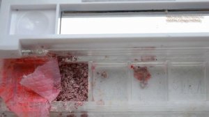 НОВЫЕ ТЕНИ из старых