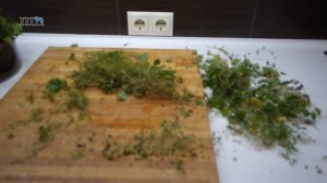 #акваскейпинг Аквариумистика. Сухой хардскейп. Тримминг.