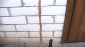 Хурма Зимовка Саженцев до Весны