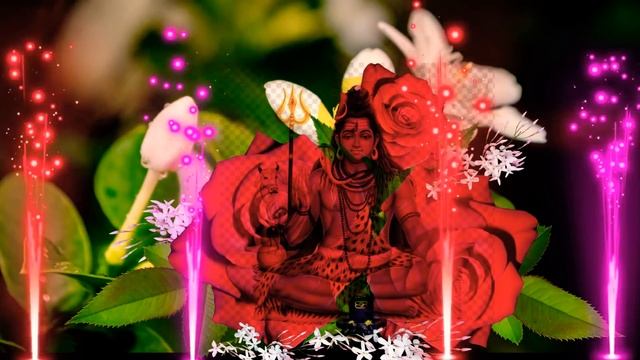 ಅಚ್ಚ ಮಲ್ಲಿಗೆ ಹೂವ ಮೆಚ್ಚಿಕೊರೊ ಮಲ್ಲಯ್ಯ || ACHA MALLIGE HOOVA MECCIKORO MALLAYYA|SHRISHAIL MALLAYYA SON