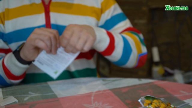 С этим способом дружные всходы вам обеспечены! Лучший способ для проращивания семян!