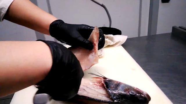 Разделка сибаса смотреть онлайн