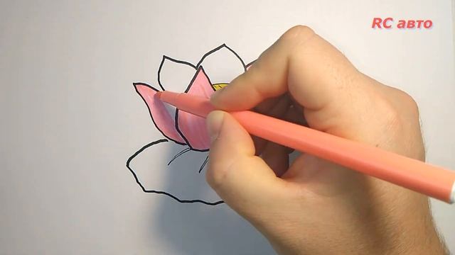 Как нарисовать кувшинку /how to draw а water lily смотреть онлайн
