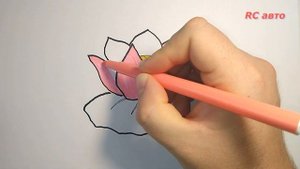 Как нарисовать кувшинку /how to draw а water lily