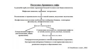 03-10 Брюшной тиф