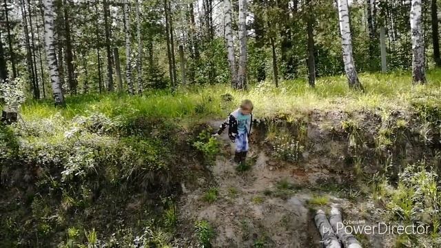 Гуляли в лесу смотреть онлайн