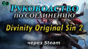 Руководство по соединению #104 Divinity Original Sin 2 через Steam