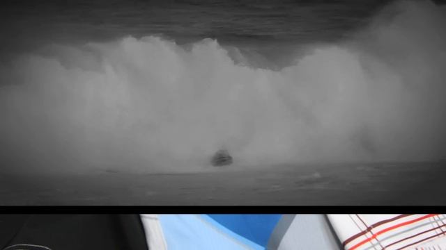 Hubb Performance Boardshorts смотреть онлайн