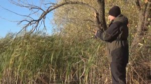 РЫБАЛКА ПОЗДНЕЙ ОСЕНЬЮ или КАК ЛОВИТЬ ОКУНЯ по ХОЛОДНОЙ ВОДЕ