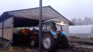 Вывозим навоз челночным способом