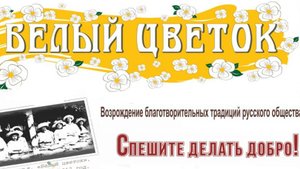 Акция "Белый цветок" в Алуште