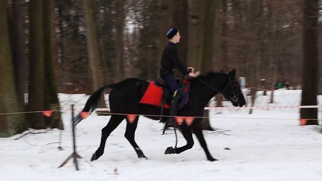 Масленица в Санкт-Петербурге: Казачья джигитовка смотреть онлайн