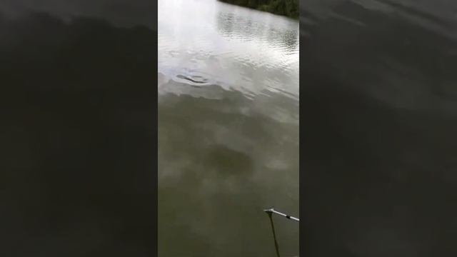 рыбалка в Северском районе ?? смотреть онлайн