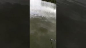 рыбалка в Северском районе ??