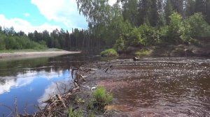 Рыбалка на таёжной речке  По рыбе не очень, зато места красивые