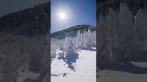 Дьэргэлгэн (сахалыы ырыа)