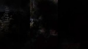 сербская леди