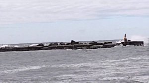 Сахалинская область, г. Холмск. Китайский сухогруз больше не будет вывозить наш лес.