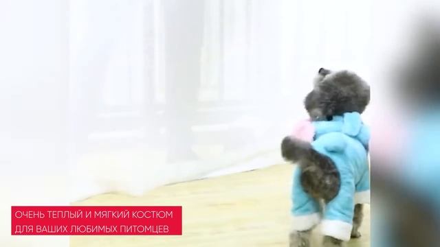 Двухслойный флисовый комбинезон для собак мелких пород | P0008 Удачная Покупка смотреть онлайн