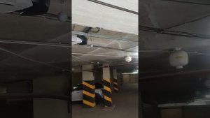Nice Spin некорректная работа