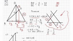 ЕГЭ. 16 задание. Подготовка. Подобие. Пропорциональные отрезки. Теорема Фалеса Геометрия.
