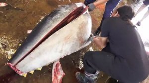 300KG giant bluefin tuna fish cutting -Amazing expert cutting skill