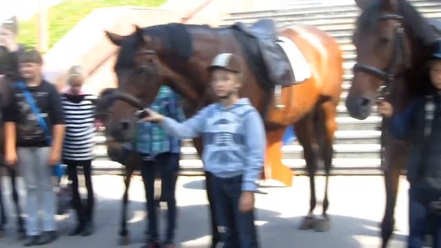 Праздник лошадей-День Флора и Лавра ☆ Новогуйвинск 31 августа 2017☆ смотреть онлайн
