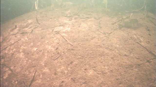 Озеро Свято. Кробково-Дедово смотреть онлайн