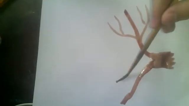 Как нарисовать сакуру